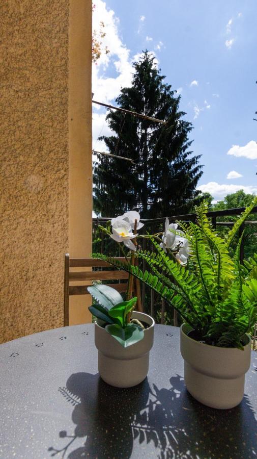 Lk43-Lodging City-Apartments, Kontaktlos Mit Self Check-In Graz Exteriör bild
